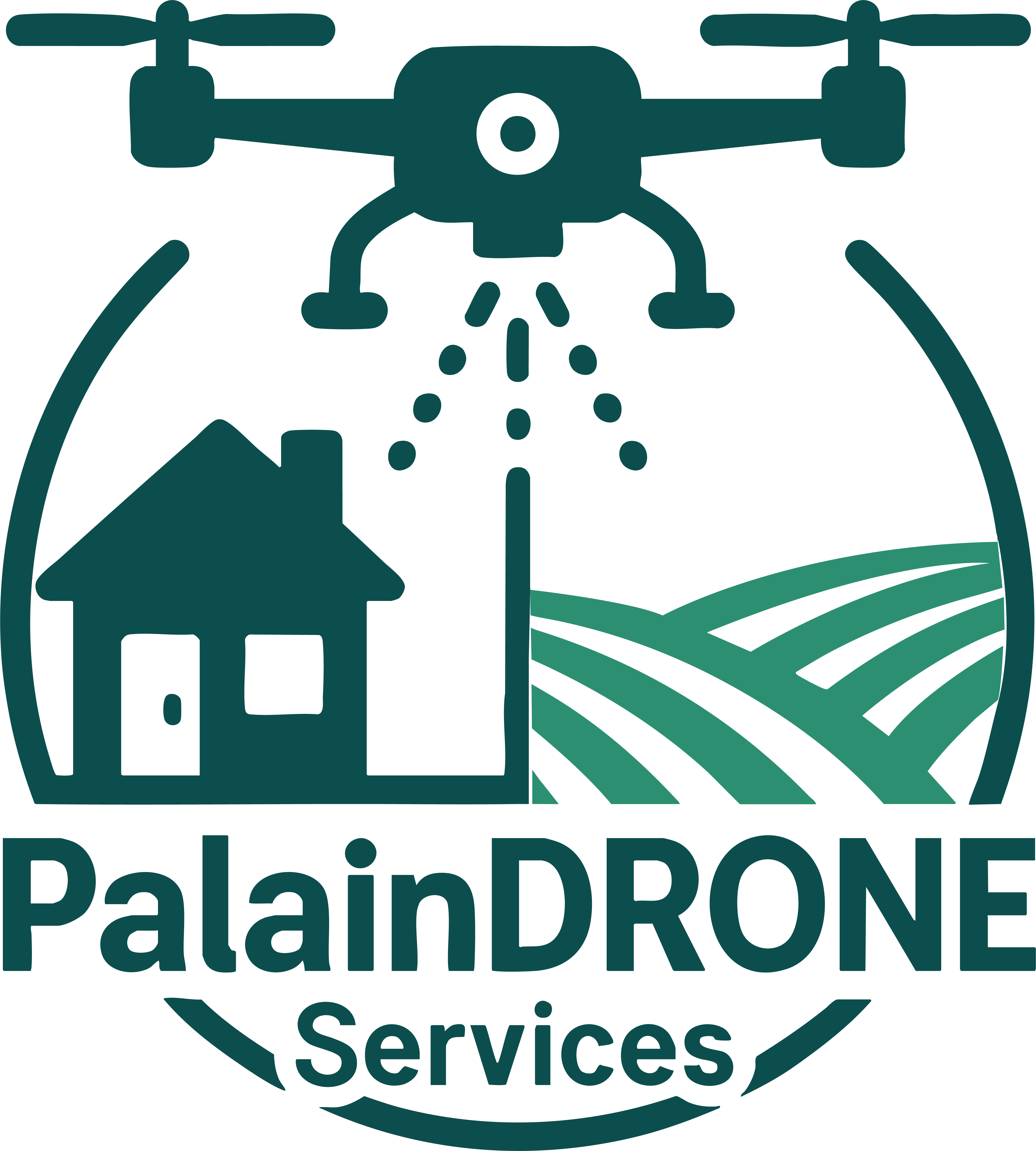 PalainDrone